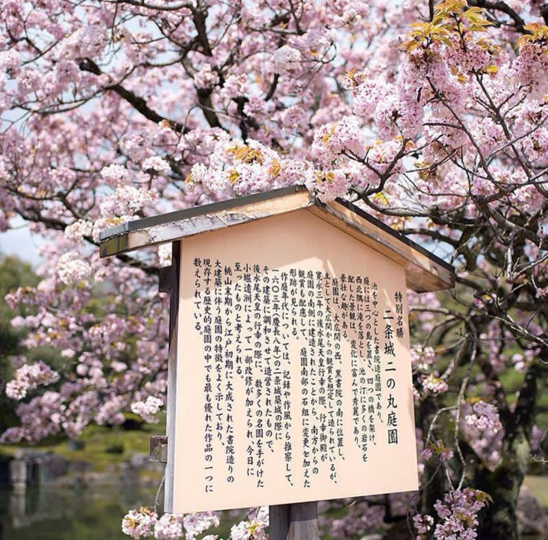 Kyoto World Heritage and Popular Attractions Day Trip: Nijo Castle & Kinkaku-ji (Golden Pavilion) & Fushimi Inari-taisha Shrines Thousand Torii Gates & Arashiyama Togetsukyo Bridge & Kimono Forest & Bamboo Grove (Departure from Osaka or Kyoto) - Arashiyama: bridge, bamboo, and Kimono Forest