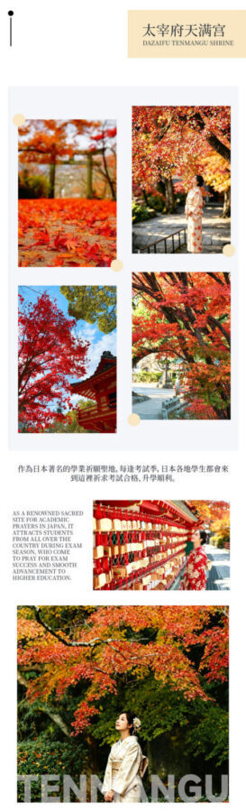 Kyushu Fukuoka & Saga Autumn Leaves One-Day Tour | Dazaifu Optional Kimono & Kyu-An & Night Maple - Dazaifu Tenmangu: shrine, snacks and a kimono option