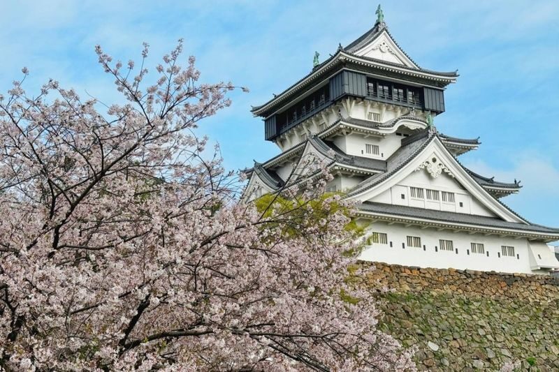 Kyushu FunPASS - Food and shopping can tip the value