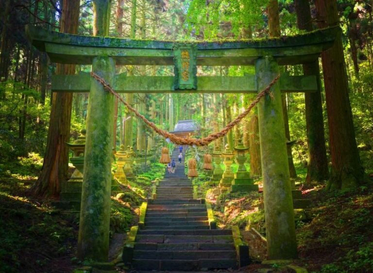 Kyushu Hiking Tour | Kamishikimi Kumanoimasu Shrine & Mount Aso Kusasenri & Kurokawa Onsen & Free Crater Shuttle Bus (Departing from Kumamoto/Fukuoka) - Kamishikimi Kumanoimasu Shrine: a forest path with a purpose