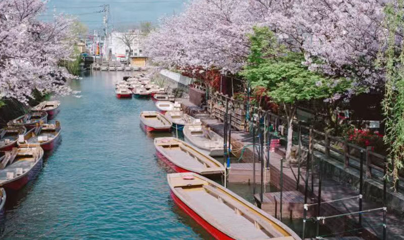 Kyushu Itoshima Coast Sightseeing & Shiraito Falls & Yanagawa River Cruise & Dazaifu Tenmangu Shrine Classic Dual Route Day Tour - Ichiran Ramen is a paid lunch stop