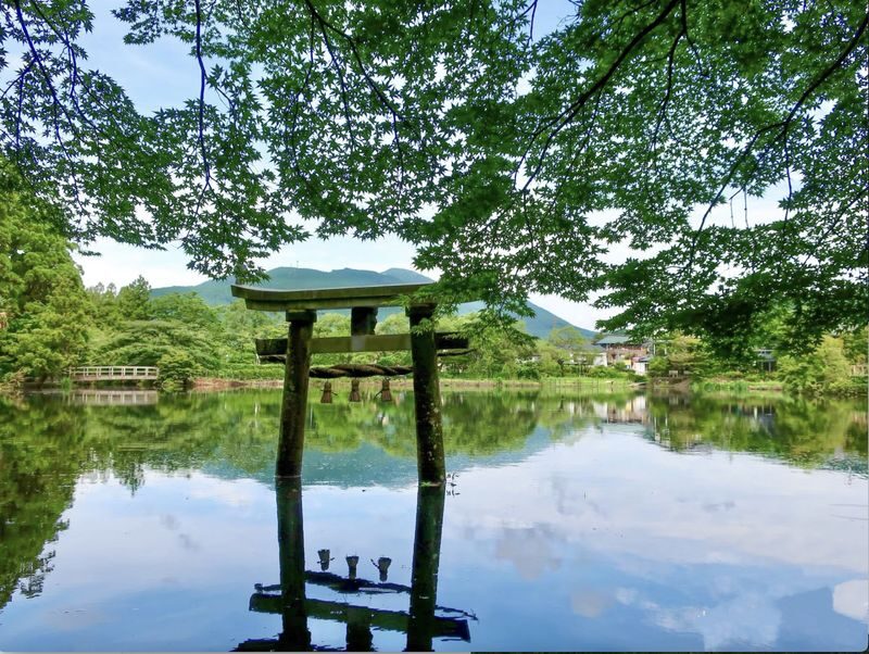 Kyushu: Nyoirin-ji Temple & Kinrinko Lake Water Torii & Yufuin & Beppu Hells Tour Day Trip - Mount Yufu: a brief view of the region’s landmark
