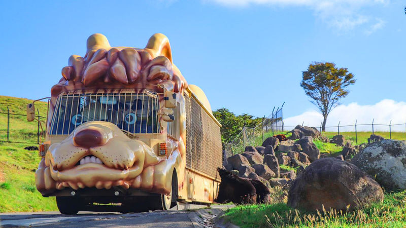 Kyushu Oita | Kyushu Natural Animal Park & Mt. Yufu & Yufuin & Kinrin Lake & Umi Jigoku (Ocean Hell) Day Trip (From Fukuoka) - Kyushu African Safari: animal viewing from the coach