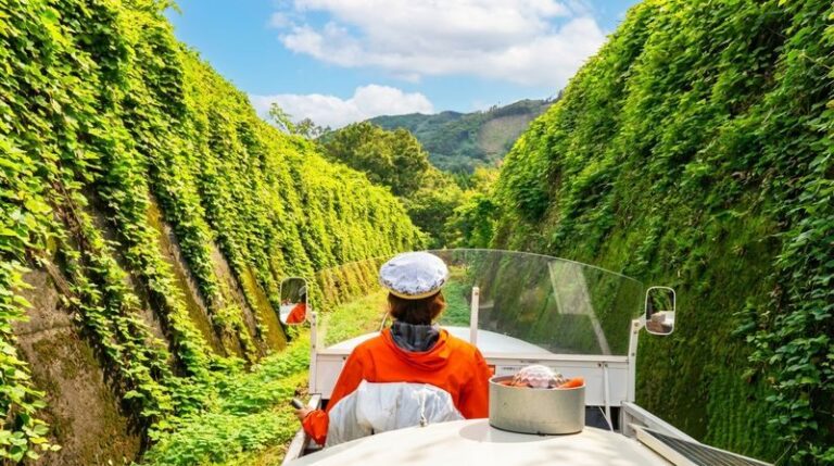 Kyushu Takachiho Secret One-Day Tour: Takachiho Railway + Takachiho Gorge (Boat Experience) + Amano Iwato Shrine - The mini-train and the high-track option