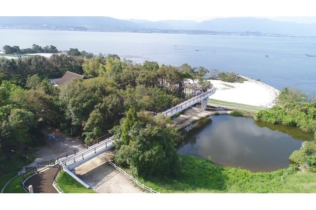 Lake Biwa Museum Adimission in Shiga - Give the freshwater aquarium time