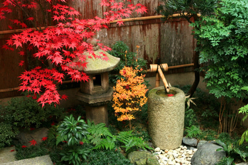 Maiko Experience with Photoshoot in Japanese Garden - The Garden Shoot and Your Own Camera Time