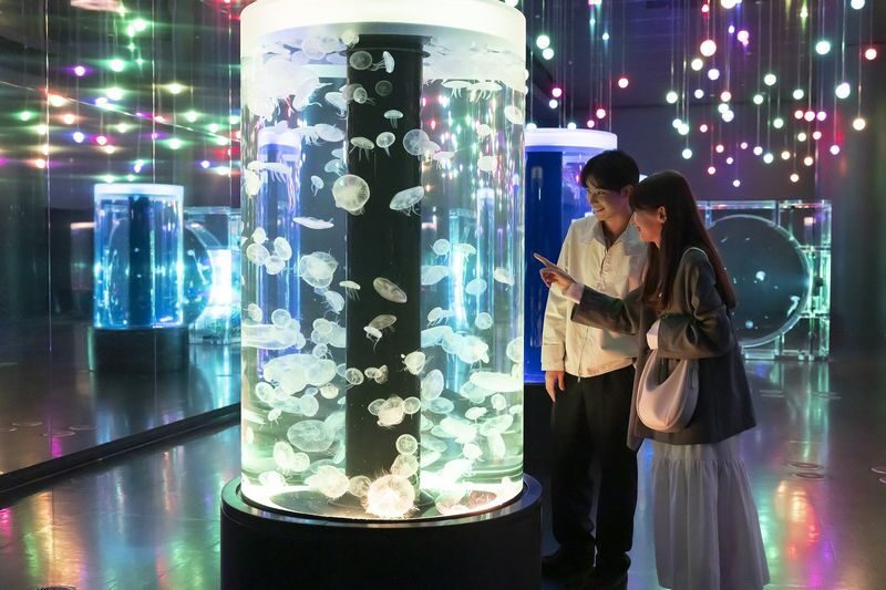 Maxell Aqua Park Shinagawa Ticket - Starting among art, fish and jellyfish