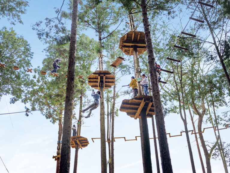 Mishima Skywalk Ticket - Adding the 300-meter zip line