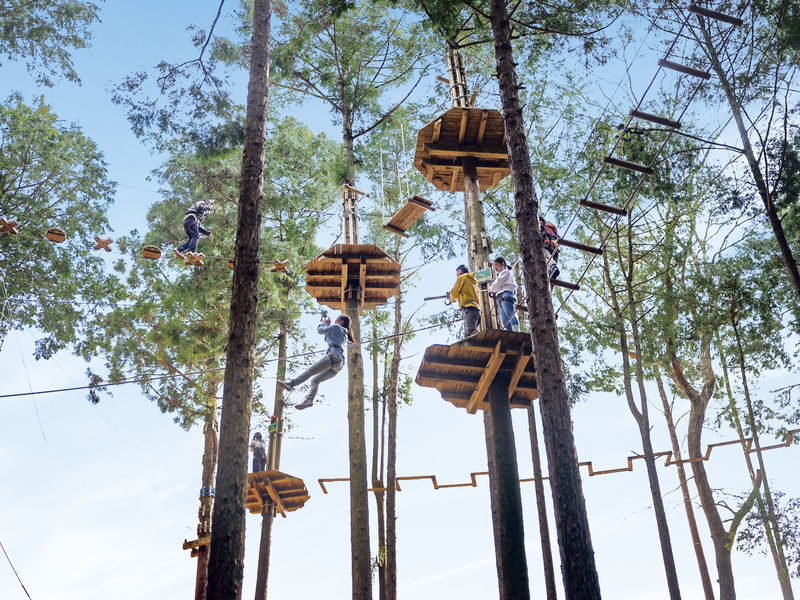 Mishima Skywalk Ticket - Adding the 300-meter zip line