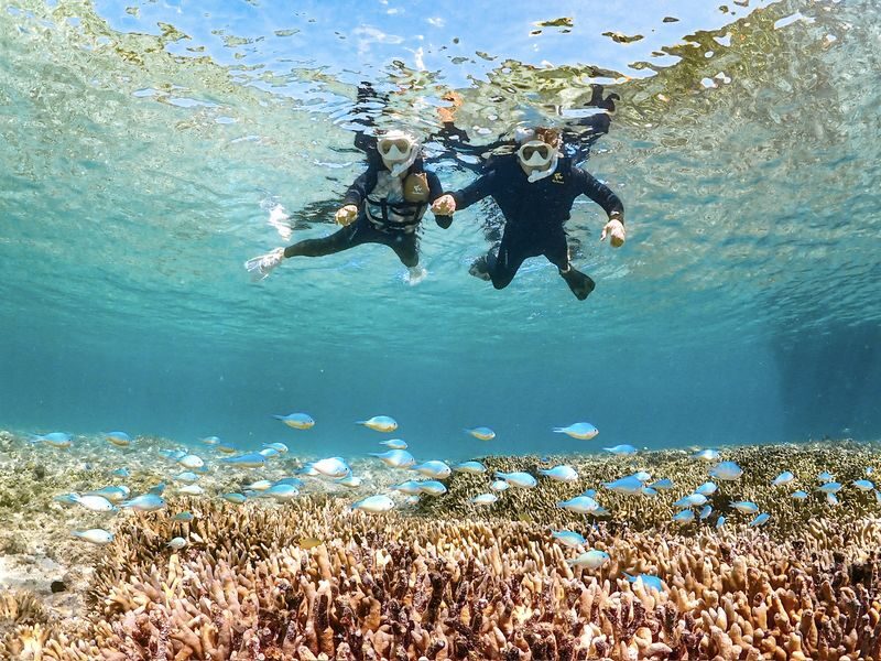 Miyako Island | Outstanding transparency! Snorkeling with sea turtles & Nemo - What the 90 minutes include