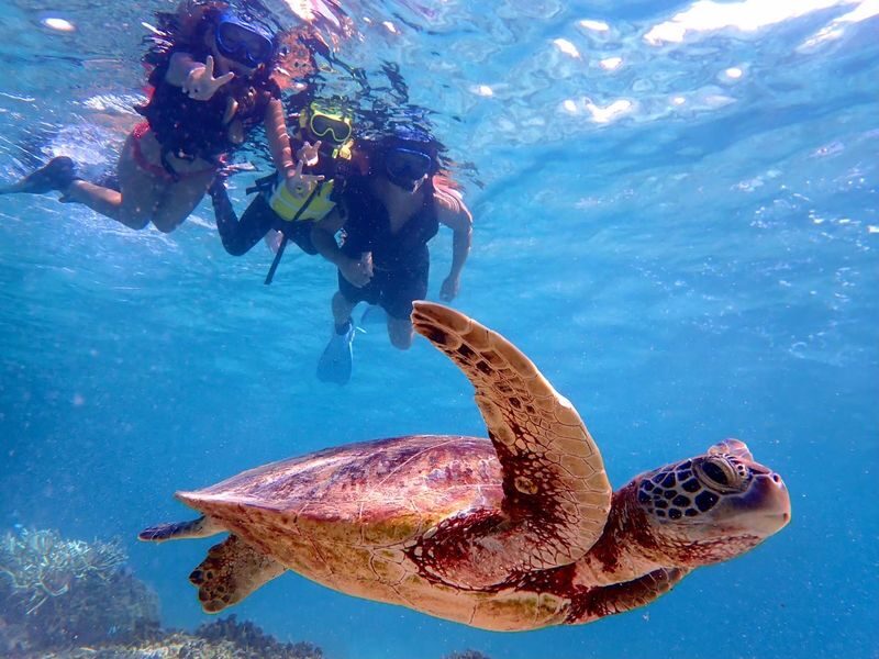 Miyako Island Sea Turtle Snorkeling & Beach SUP or Canoe 1-Day/Half-Day Experience (Okinawa) - Shigira Beach: Snorkeling for Turtles