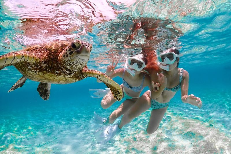 Miyakojima: Private Sea Turtle & Nemo Snorkeling w/Drone - Why the beach may change
