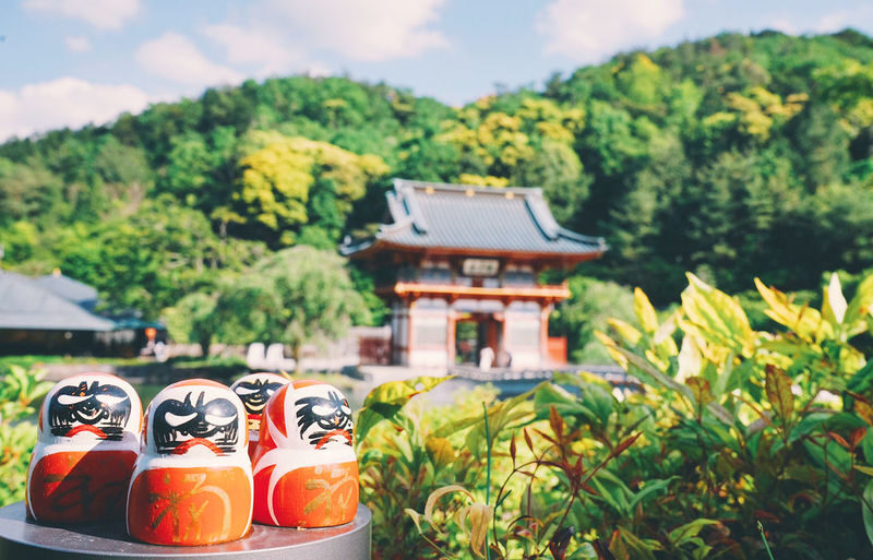 Miyama Thatched Village & Katsuoji Temple & Arashiyama Bamboo Forest Path & Nonomiya Shrine Day Trip | Departing from Osaka - Katsuoji’s Daruma dolls and temple paths