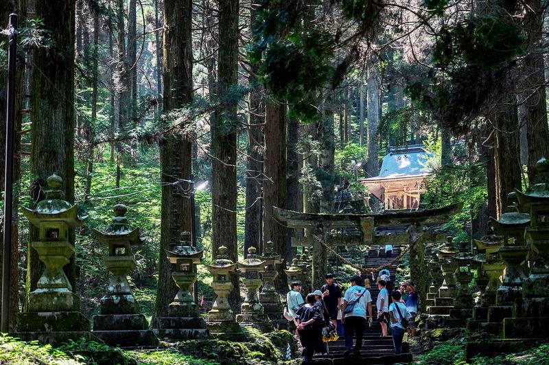 Miyazaki Kumamoto Exploration Tour | Kamishikimi Kumanoza Shrine, Amanoiwato, Takachiho Gorge, Mount Aso, Kurokawa Onsen Day Trip | Departing from Fukuoka - The Fukuoka drive sets the pace