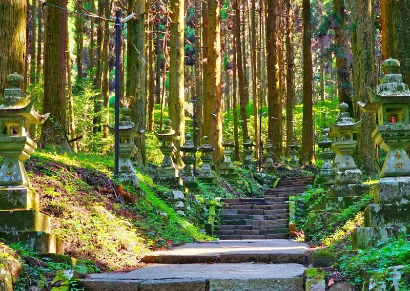 Mount Aso One-Day Tour in Kyushu: Kamishikimi Kumanoza Shrine, Kusasenri, Kurokawa Onsen (Departing from Fukuoka, includes Mount Aso shuttle bus, minimum 1 person to form a group) - Reading the volcano from Kusasenri