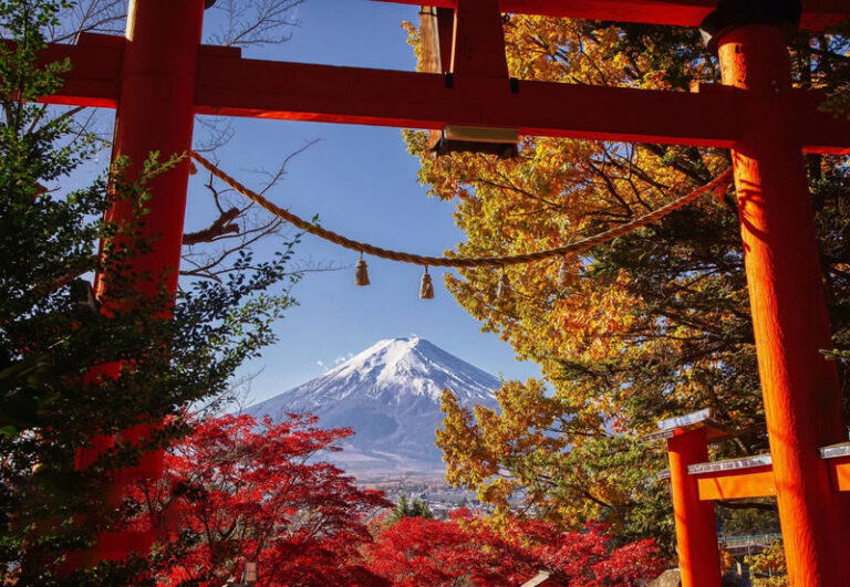 Mount Fuji 9-person small group day tour (departing from Tokyo, driver-guide service, optional hotel pick-up and drop-off) - A driver-guide keeps the day simpler