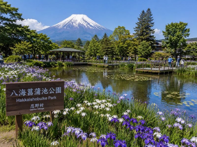 Mount Fuji and Hakone Full-Day Private Customizable Tour - Hakone is named, but the route needs a conversation
