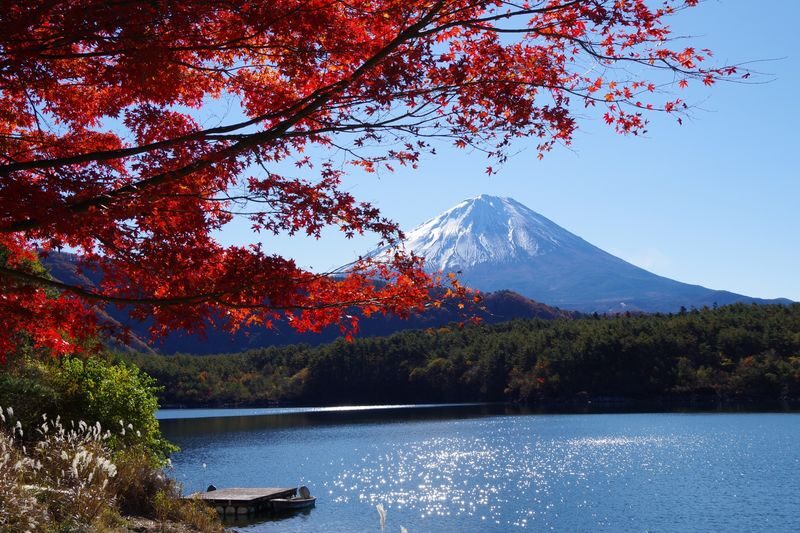 Mount Fuji and Lake Kawaguchi Scenic Sightseeing - Bicycle Rental & Lake Kawaguchi Cruising - Check the bicycle before you roll