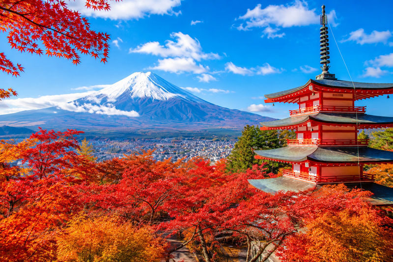 Mount Fuji Day Trip from Tokyo Daily Departure: Chureito Pagoda, Kawaguchiko Oishi Park, Oshino Hakkai, Lawson Convenience Store - Oshino Hakkai’s clear spring ponds
