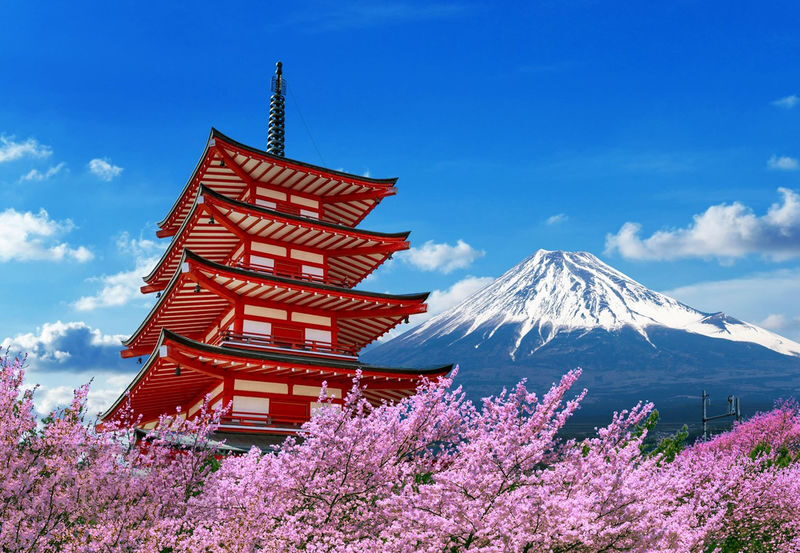 Mount Fuji Day Trip: Hakone Owakudani, Arakurayama Sengen Park, Kawaguchiko Oishi Park, Lake Yamanaka, Lawson Convenience Store (Multiple routes available, departing from Tokyo) - Hakone Shrine and the pirate ship