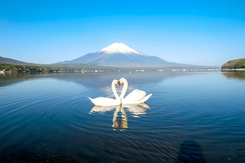Mount Fuji & Gotemba Outlets Small Group Day Trip with Driver-Guide service & Optional hotel pickup - Finding Mount Fuji at Lake Yamanaka