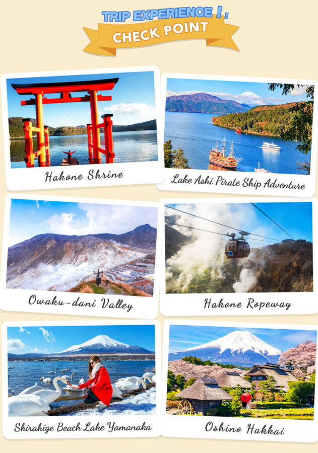 Mount Fuji Hakone Day Trip: Owakudani & Lake Ashi Pirate Ship & Lake Yamanaka & Oshino Hakkai & Ropeway Experience Tour (From Tokyo) - At Hakone Shrine, the torii may be a distant view