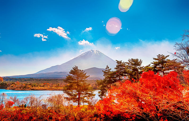 Mount Fuji/Hakone/Kamakura Private Car Day Tour (Hotel pick-up and drop-off/Multiple vehicle options available) - The classic Fuji day: mountain, springs, then your choice