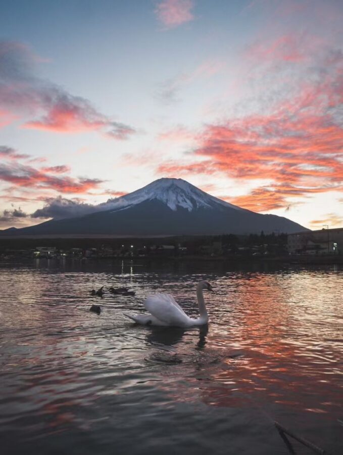 Mount Fuji Instagram-Worthy Day Trip: Small Group Tour/Photogenic Route & Lake Yamanaka Swan Beach + Hirano Beach + Nikawa Clock Shop + Kawaguchiko Station Entrance Kintorii (Departure from Ikebukuro/Ueno) - Leaving Tokyo from Ueno or Ikebukuro
