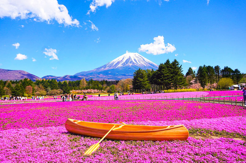 Mount Fuji Kawaguchiko Four Seasons Flower Sea: Arakurayama Sengen Park & Hikawa Clock Shop & Oshino Hakkai & Lawson Photo Spot (Departing from Tokyo) - Arakurayama Sengen Park: the postcard view takes effort