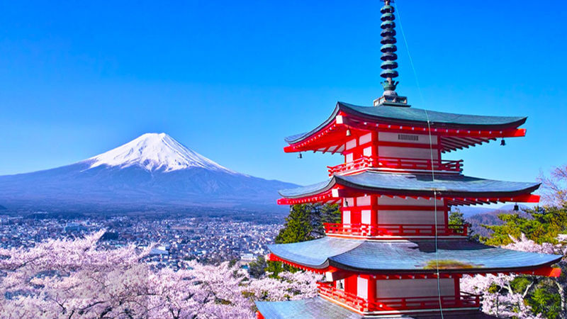 Mount Fuji Kawaguchiko Panoramic View & Tenjo-yama Park with Free Cable Car Ticket & Arakurayama Sengen Park & Hikawa Clock Shop & Lawson Convenience Store & Oishi Park One-Day Tour (Departing from Tokyo) - Tenjo ropeway: the high view over Kawaguchiko