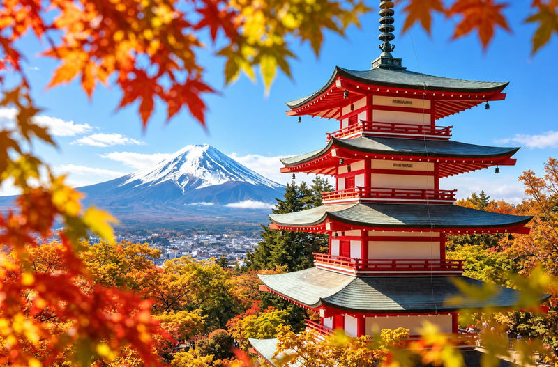 Mount Fuji Kawaguchiko Ropeway Day Tour from Tokyo: Kawaguchiko Tenjozan Park, Lawson Convenience Store, Oshino Hakkai, Arakurayama Sengen Park (Comfortable Bus or Private Car available) - Tenjozan Park: the high point above the lake