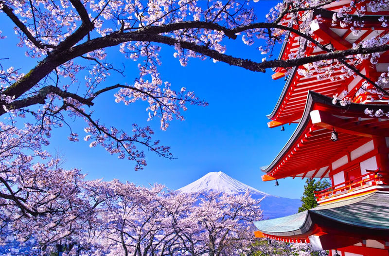Mount Fuji & Lake Kawaguchiko tour with Ropeway experience - Climbing to Chureito Pagoda