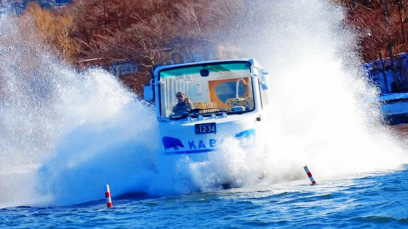 Mount Fuji Lake Yamanaka KABA Amphibious Bus/Swan Boat & Hirano Beach & Lake Kawaguchi Oishi Park & Oshino Hakkai Day Trip | Departure from Tokyo - Hirano Beach: a calm first look at Fuji