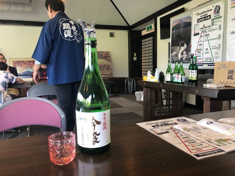 Mount Fuji Premium Cruise and Sake Tour (English Speaking Guide) - Lake Yamanaka by swan boat