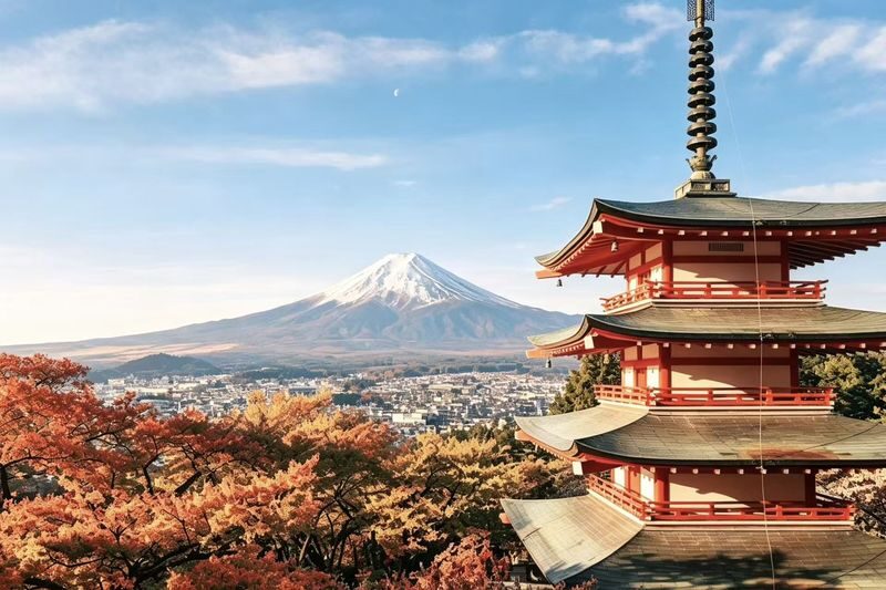 Mount Fuji Six Scenic Spots One-Day Tour: Arakurayama Sengen Park, Hikawa Clock Shop, Oshino Hakkai, Lake Kawaguchiko, Lawson Convenience Store, Lake Yamanakako Swan Feeding (Departing from Tokyo/Shinjuku) - Lake Yamanaka and the swans