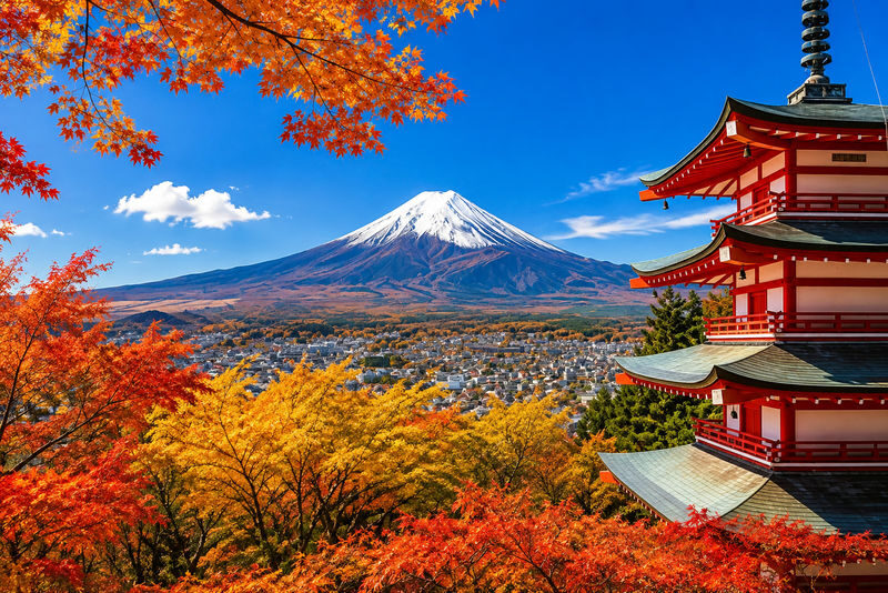 Mount Fuji Special Train & Lake Kawaguchi Cruise/Ropeway & Lake Yamanaka & Hikawa Clock Shop Day Trip - Hikawa Clock Shop and the old-town photo stop