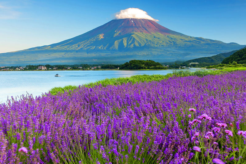 Mount Fuji Stunning Scenery Day Trip (Departing from Tokyo) - A brief pause at Arakura Fuji Sengen Shrine