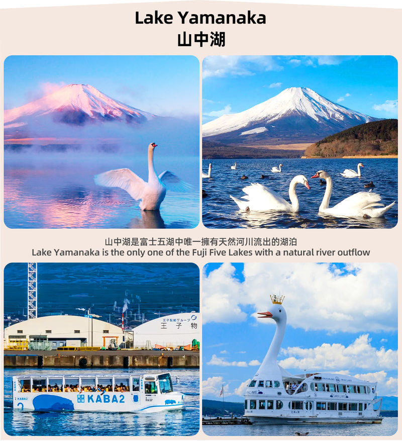 Mount Fuji Twin Lake Experience Tour: Hirano Beach & Lake Yamanaka Walk/KABA Amphibious Bus/Lake Yamanaka Swan Lake Cruise & Oshino Hakkai & Lake Kawaguchiko Experience One-Day Tour (Departing from Tokyo) - Hirano Beach: look for Fuji on the water