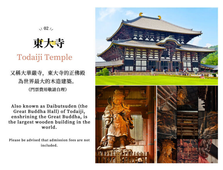 Mount Ikoma & Nara Fun Trip | Sky Cycle + Nara Park Deer Feeding + Todai-ji Temple + Wakakusa Mountain Overlook Day Trip | Depart from Osaka (Ikoma Sanjo Amusement Park or Hirakata Park Optional) - Nara Park: deer, paths and a practical time limit