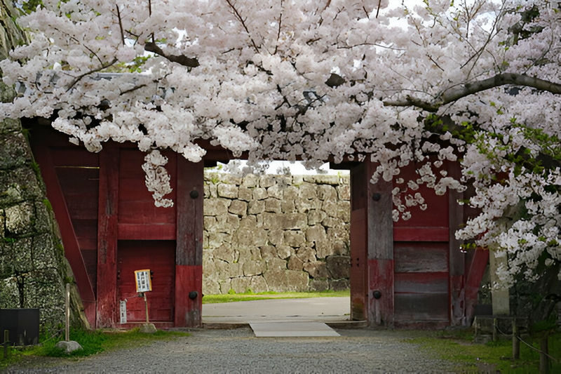 Mount Koya Wakayama & Nachi Waterfall Private Day Tour - Mount Koya rewards a slower pace