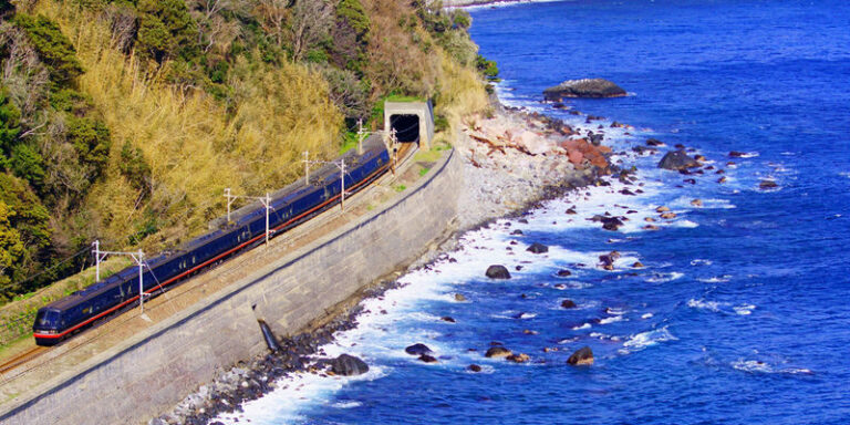 Mount Omuro/Cactus Park & Ocean View Train (with ticket) & Jogasaki Coast Day Trip (Departing from Tokyo) - The coastal train is short, but worth planning around