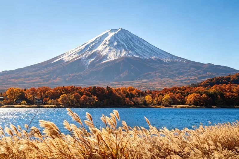 Mt. Fuji 6 Major Instagram-Worthy Photo Spots Day Tour (Departing from Tokyo / Multilingual Options Available) - Oshino Hakkai: clear water and village lanes