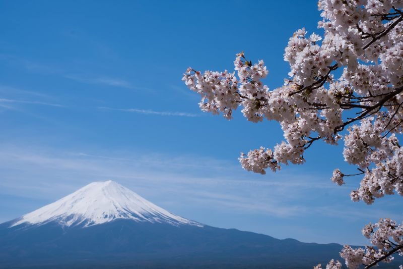 Mt. Fuji Day Tour: Flower Sightseeing & Outlet Shopping from Tokyo - Fuji Subaru Line 5th Station: close to the mountain