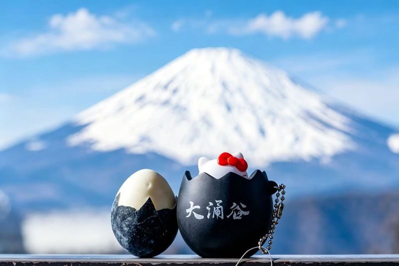 Mt. Fuji & Hakone Highlights Day Tour: Lake Ashi Pirate Ship + Togendai-Owakudani Ropeway - Small Group / Private Charter / Comfortable Coach (Multiple Options Available) - Hakone Shrine and the lakeside torii