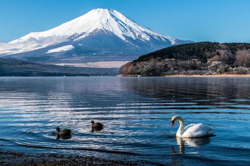 Mt. Fuji & Hakone Private Day Tour with English-Speaking Driver - Lake Yamanaka: a scenic start with a routing question