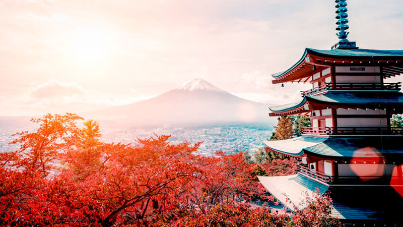 Mt. Fuji Highlights - Top 5 Scenic Spots Day Tour - Arakurayama Sengen Park: the famous pagoda view