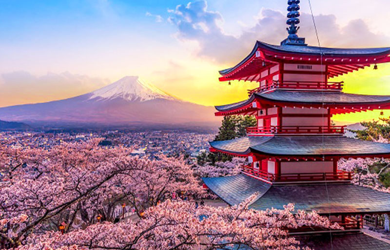 Mt. Fuji Instagram-Worthy Spots Day Tour: Ladder Town, Oshino Hakkai, Lake Kawaguchi, Lawson Convenience Store (Departing from Tokyo Station or Shinjuku Station) - Arakurayama Sengen Park and the famous pagoda view