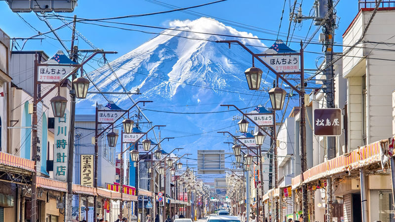 Mt. Fuji Internet-Famous Attractions Small Group Tour (Optional hotel pick-up and drop-off, departing from Tokyo) - Arakurayama Sengen Park and the Chureito Pagoda climb