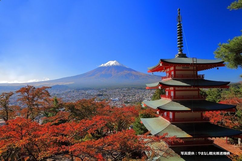 Mt. Fuji, Oishi Park & Arakurayama Pagoda Bus Tour with Lunch - A hotel lunch that is more than a quick refuel