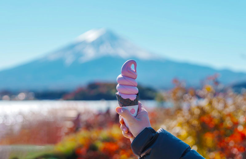 Mt. Fuji Six Views Popular Scenic Spots Check-in 9-Person Boutique Small Group Day Trip (Optional Hotel Pick-up) - Lake Yamanaka and its swans